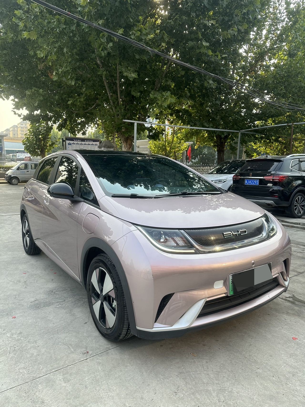 BYD Dolphin 2023  420km Fashion Edition