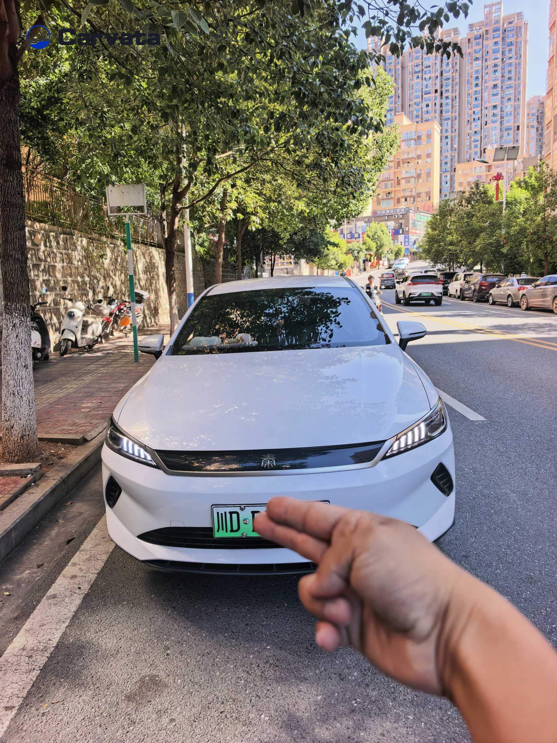 BYD Qin PLUS 2025 EV Smart Driving Edition 510KM Leading Type
