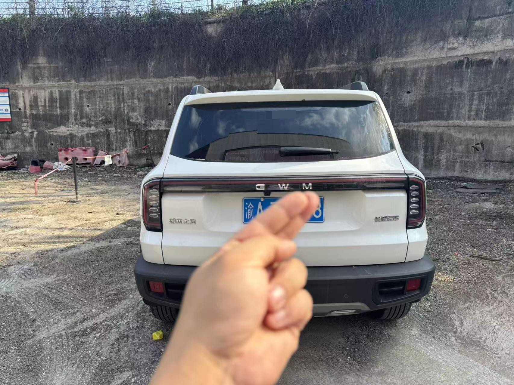Haval Big Dog PLUS 2026 Big Dog 1.5T Border Collie Edition