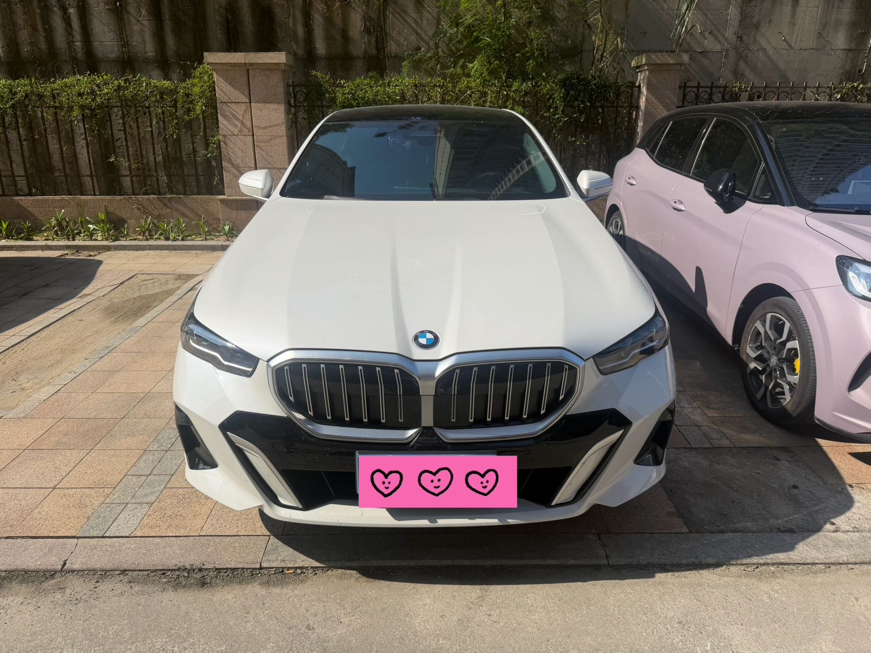 BMW 5 Series 2025 BMW 530Li 48V 2.0T Premium Luxury Package