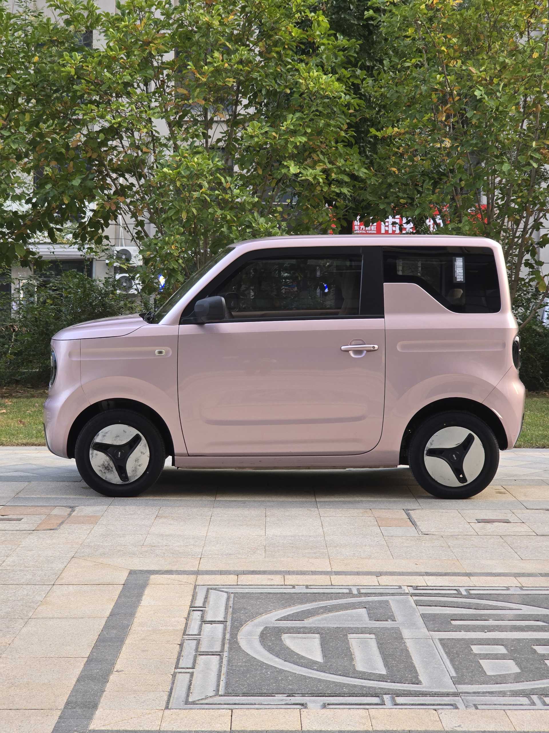 Geely Auto Panda MINI 2023  200km Endurance Bear