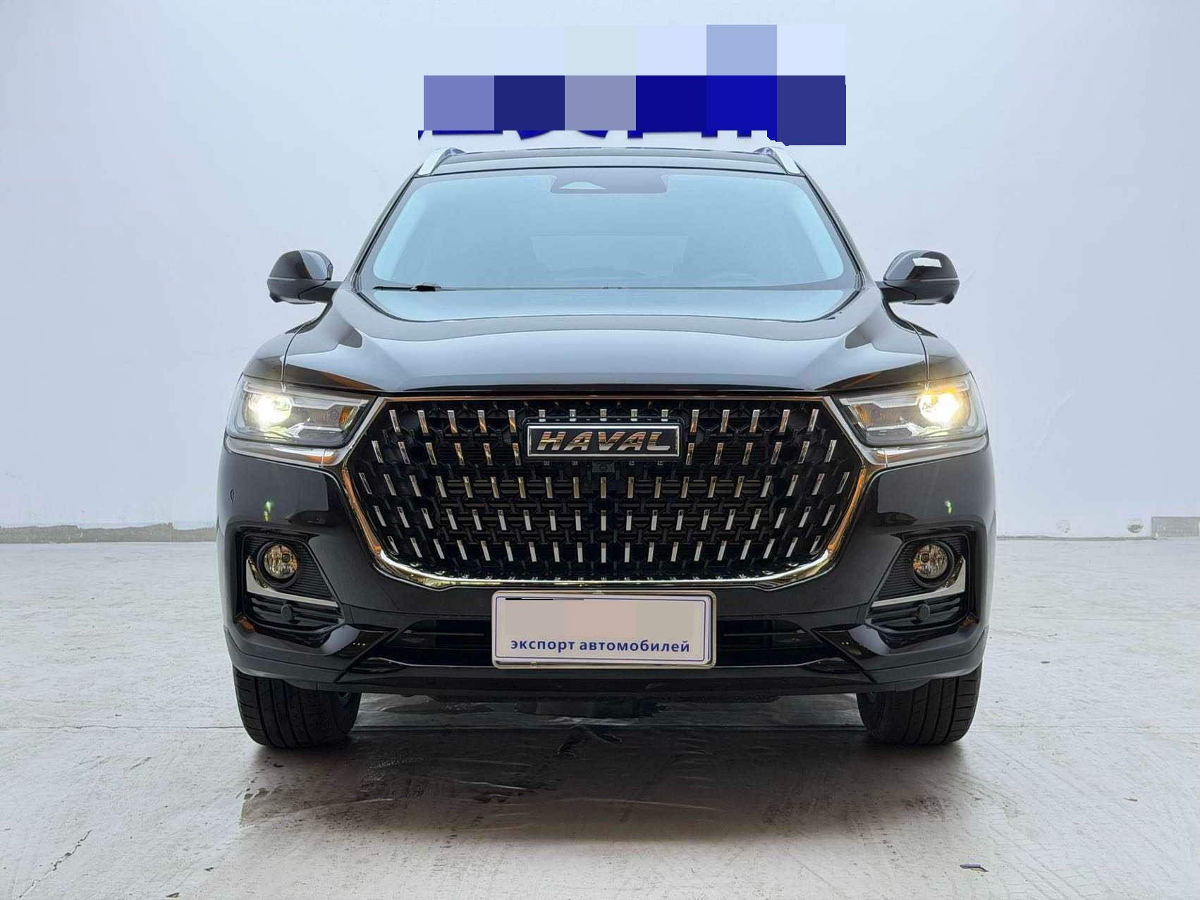 Haval H6 2023 H6 1.5T National Tide Edition Champion Edition
