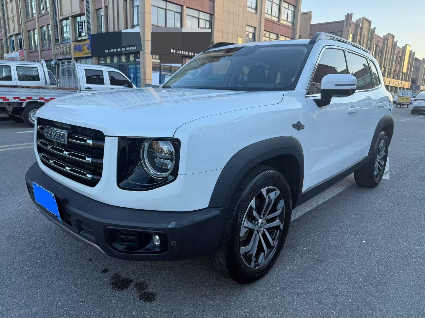 Haval Big Dog PLUS 2020 Big Dog 1.5T Labrador Edition