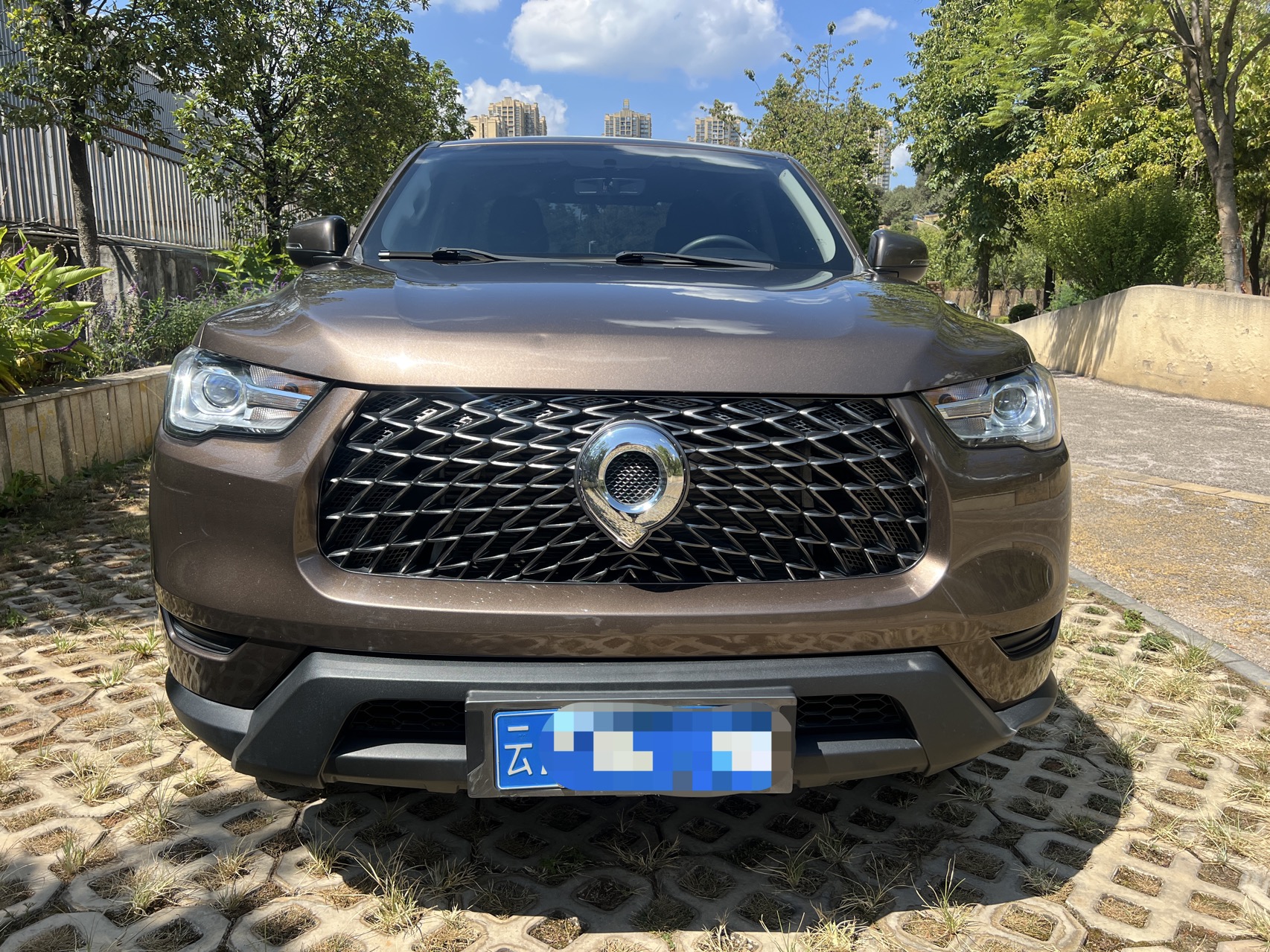 Great Wall Poer 2021  2.0T Commercial Edition Diesel 4WD Elite Long Bed