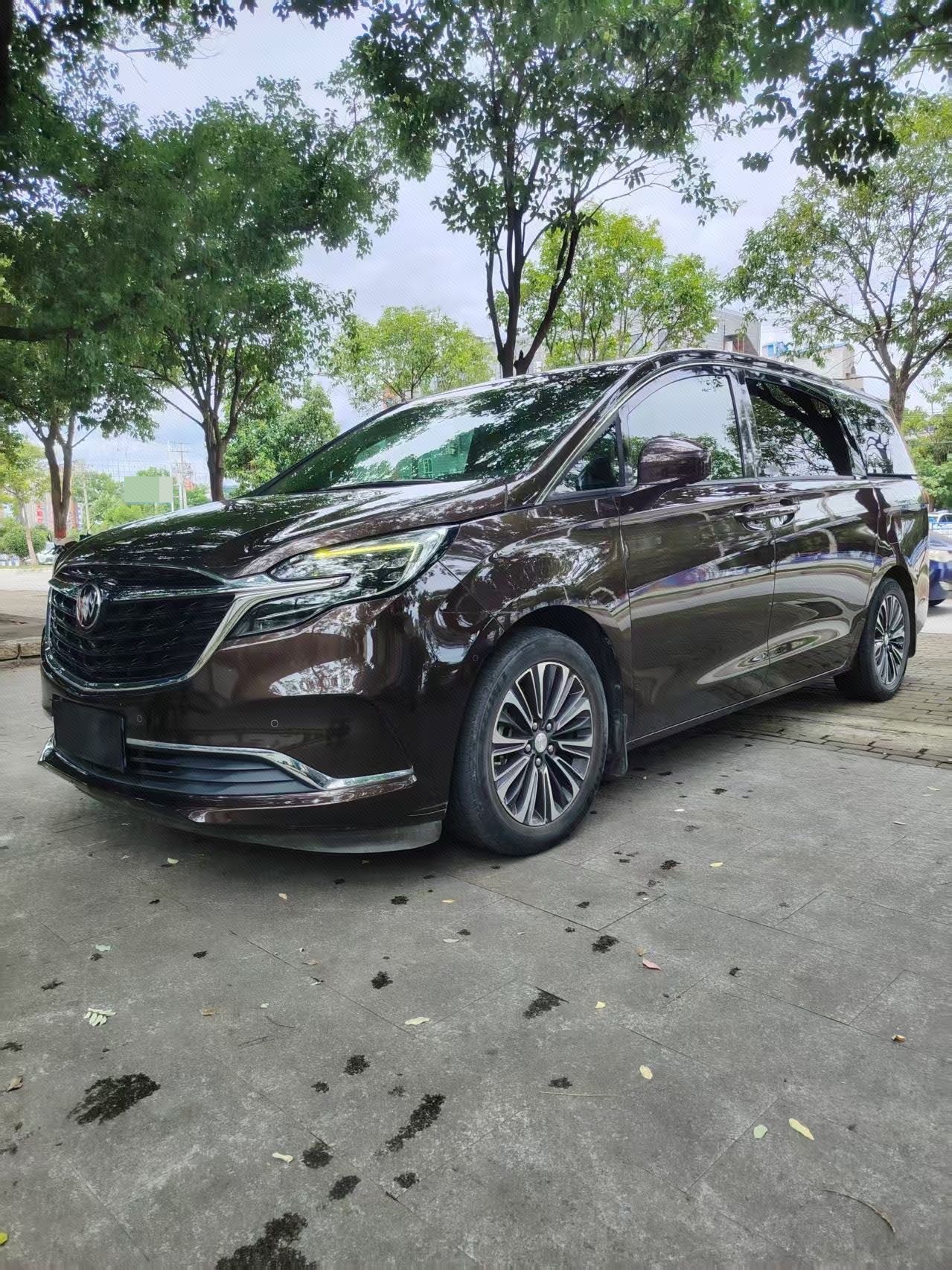 Buick GL8 2020  ES Landun 2.0T 653T Luxury