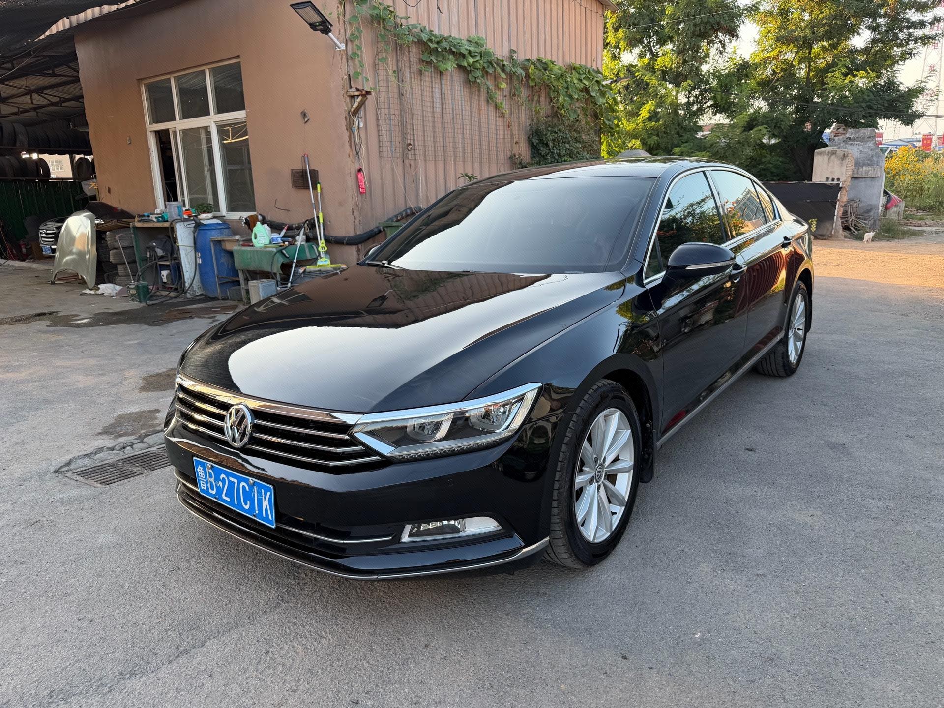 Volkswagen Magotan 2019 Volkswagen  2.0TSI 330TSI Luxury