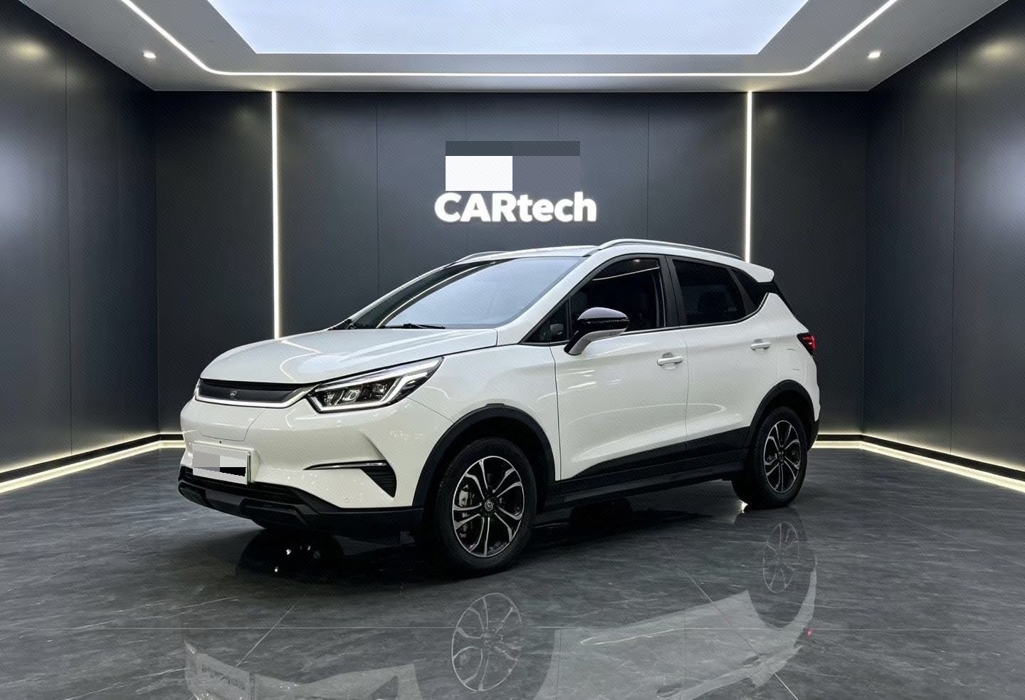 BYD Yuan Pro 2021  Love For Life Edition