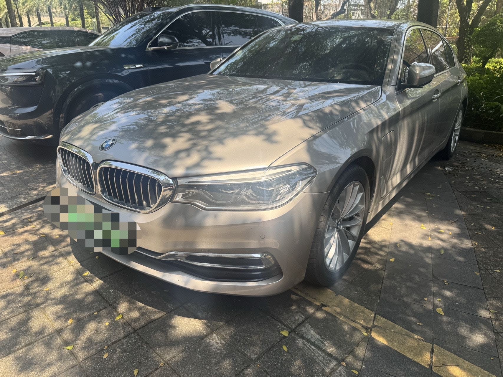 BMW 5 Series Plug-in Hybrid 2020 BMW 530Le 2.0T Luxury Package