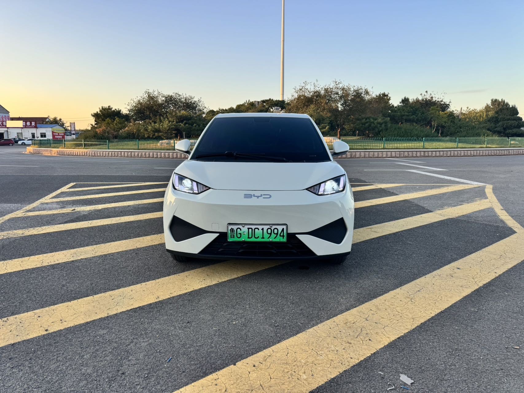 BYD Seagull 2025  Smart Driving Edition 305km Vitality Version