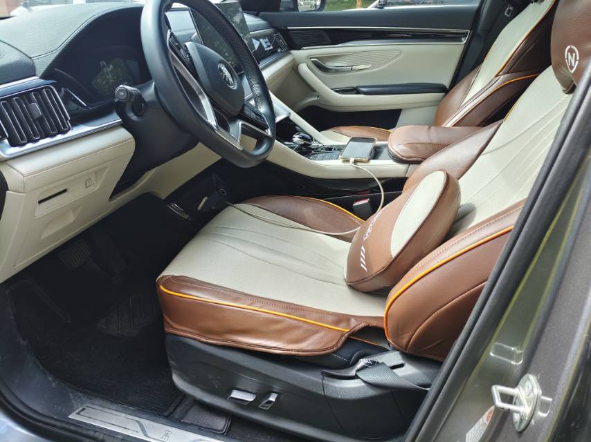 BYD Song 2023 PLUS DM-i 1.5 CVT Champion Edition 110KM Flagship