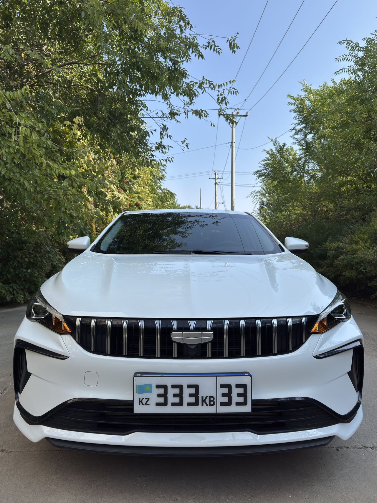Geely Auto Binrui 2024 Geely  COOL 1.5T COOL Champion Edition