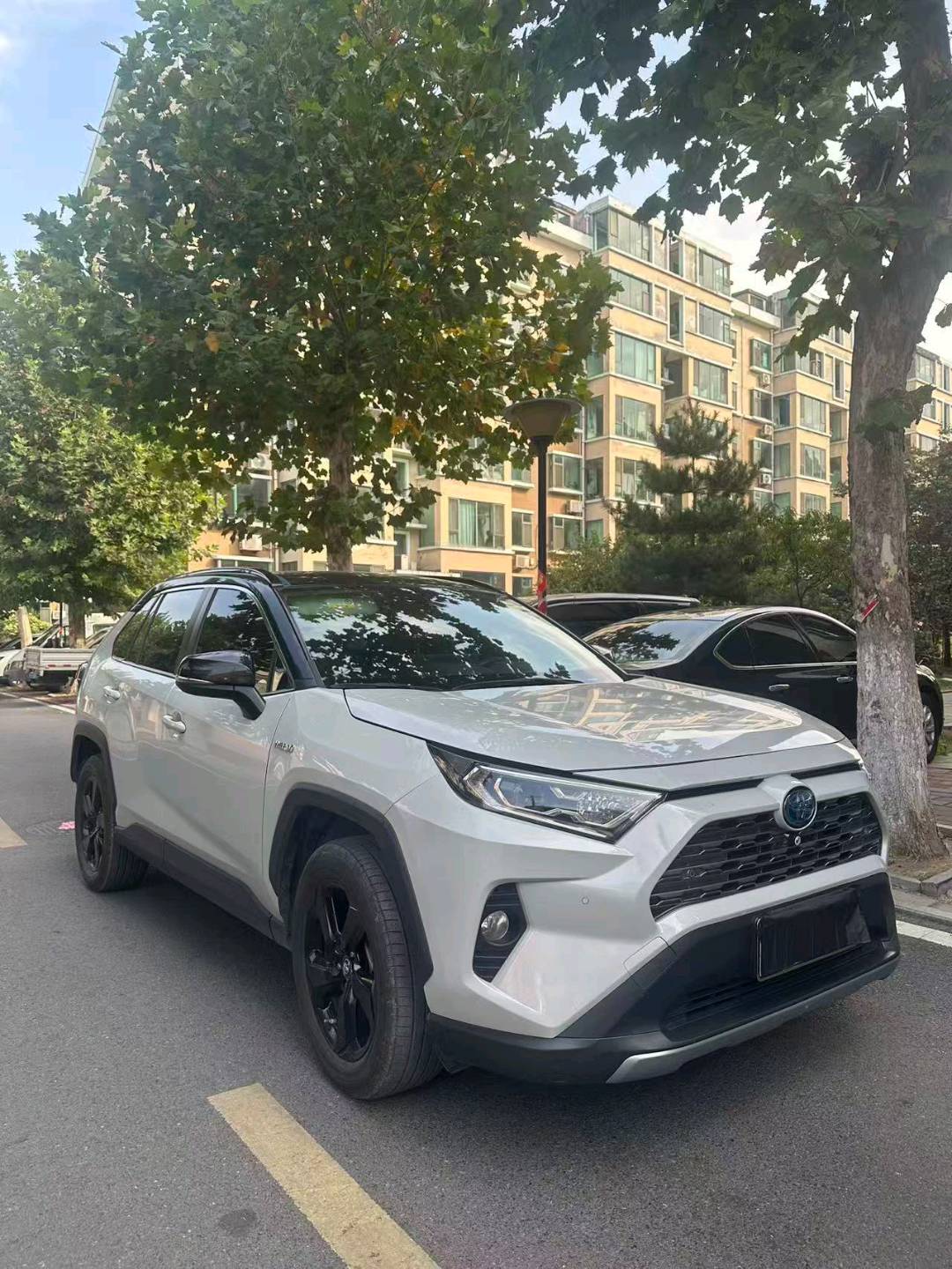 Toyota RAV4 2020 RAV4 Rongreleased Double Engine 2.5 Stepless Four-wheel Drive Flagship Edition