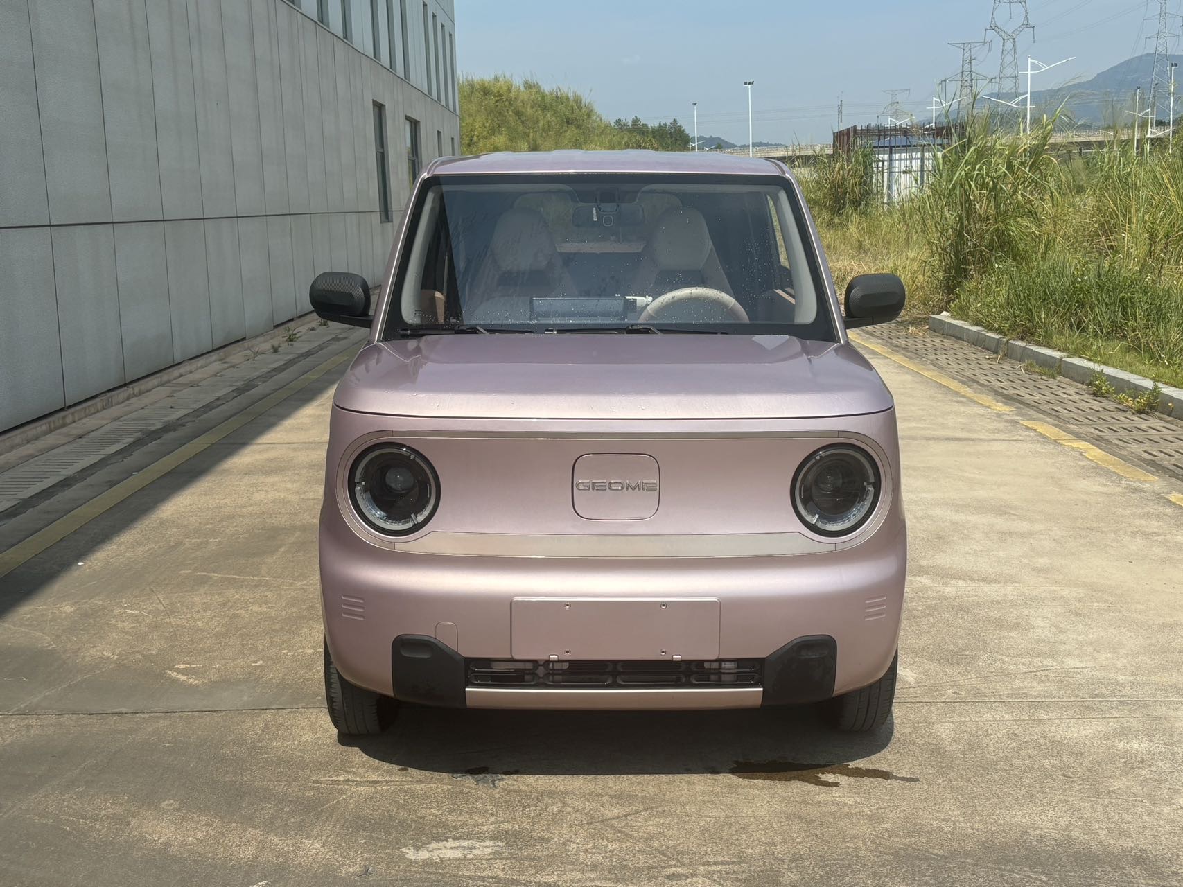 Geely Auto Panda MINI 2023 200km Endurance Bear