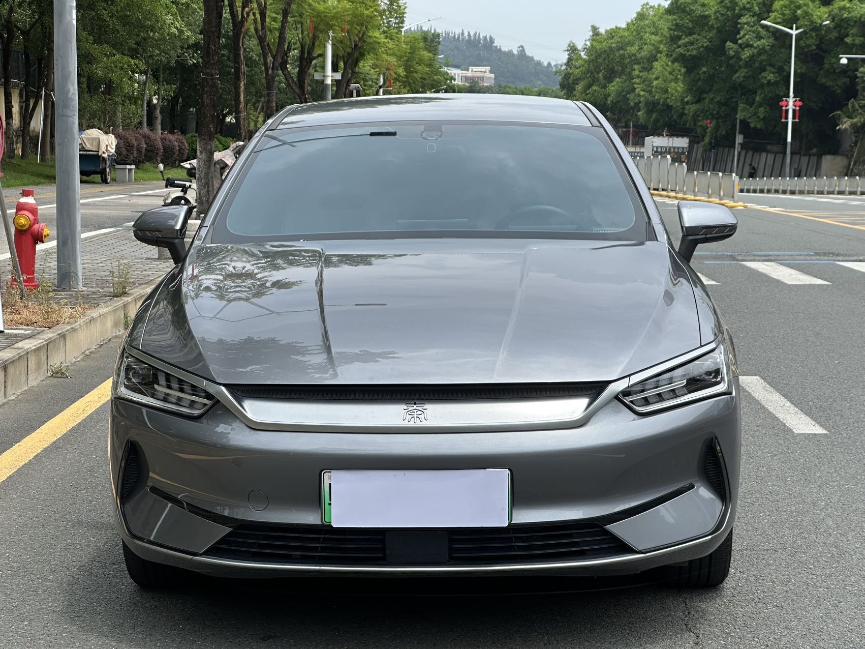 BYD Qin PLUS 2024  EV 510KM Glory Leading