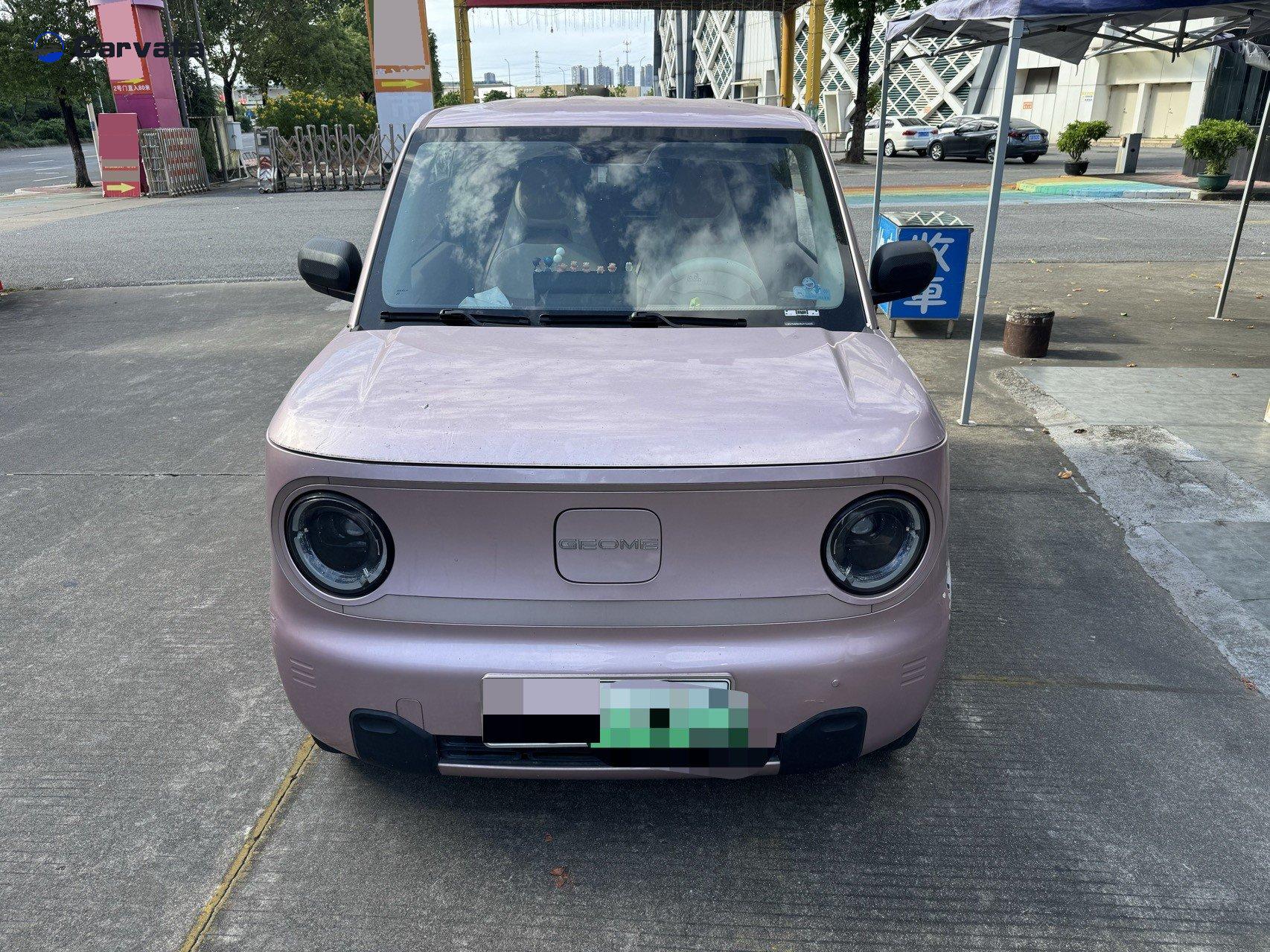 Geely Auto Panda MINI 2024  200km Endurance Bear