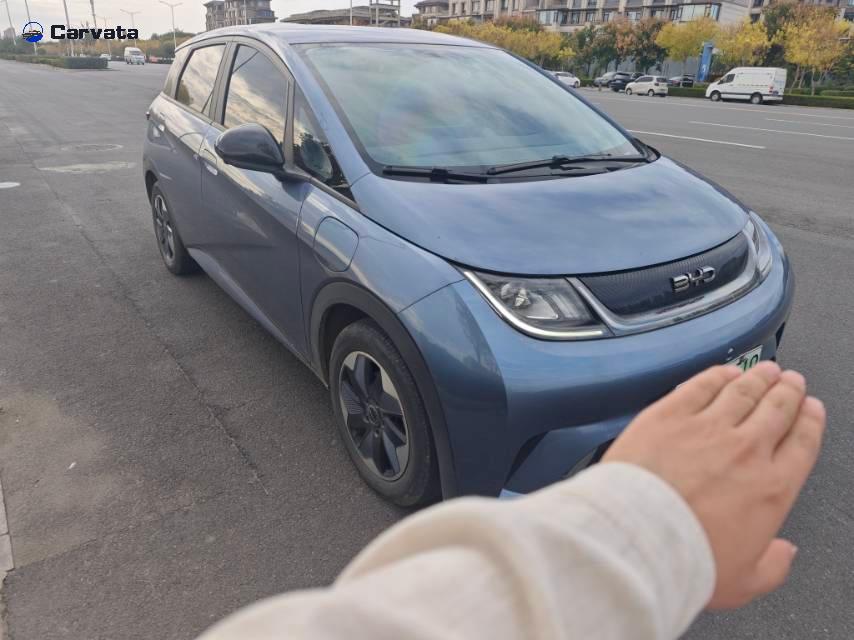 BYD Dolphin 2025  420km Free Edition