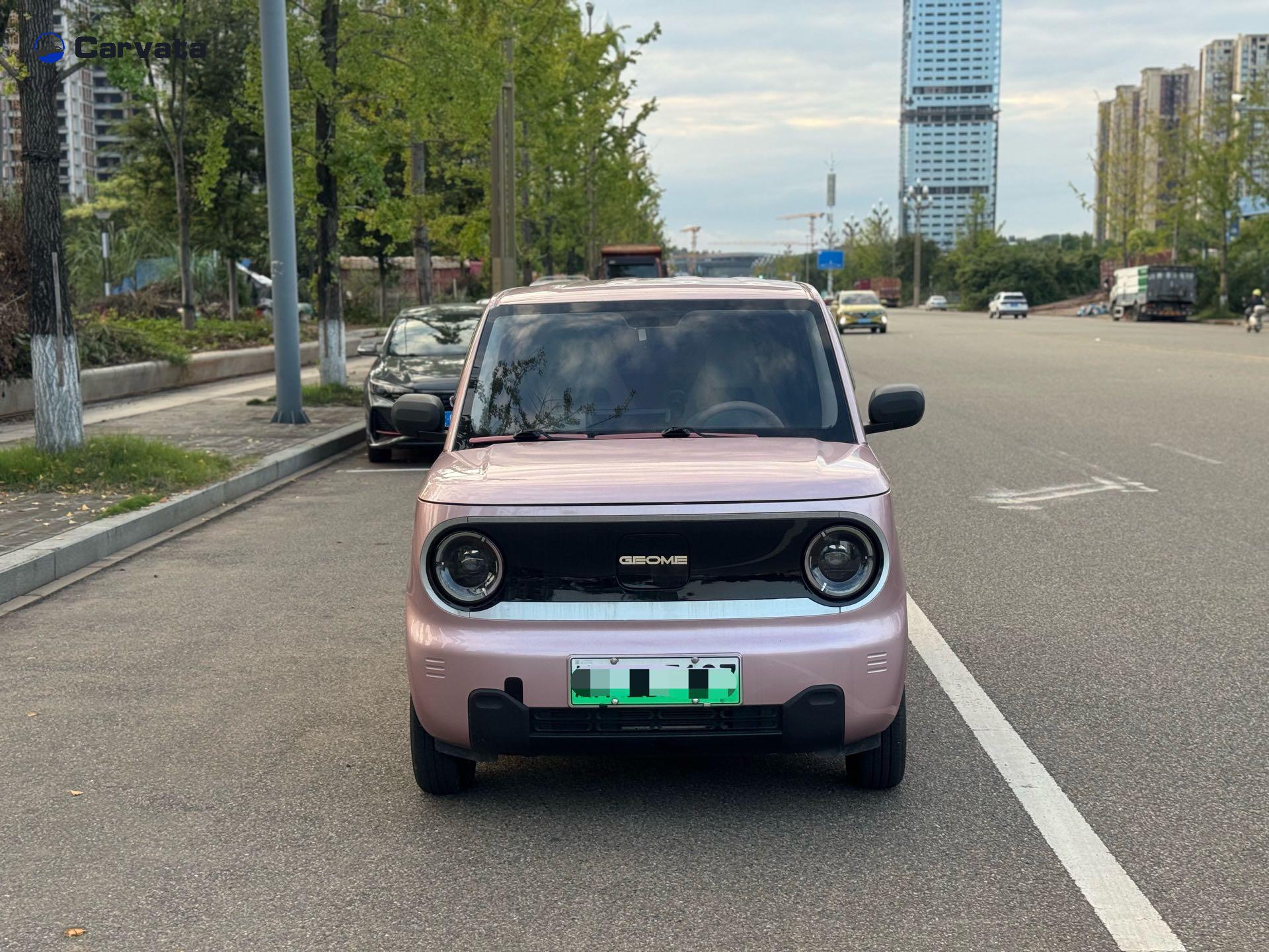 Geely Auto Panda MINI 2024  200km Endurance Bear