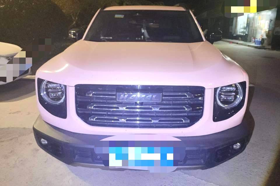 Haval Big Dog PLUS 2022 Haval Big Dog 1.5T 2WD Border Collie Edition