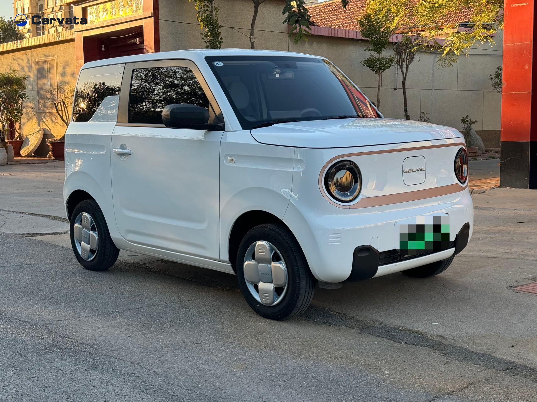 Geely Auto Panda MINI 2024  200km Endurance Bear